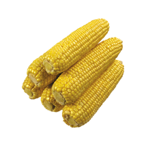 Csöves kukorica I.osztály kb 30 dkg/cső öml. 10 kg